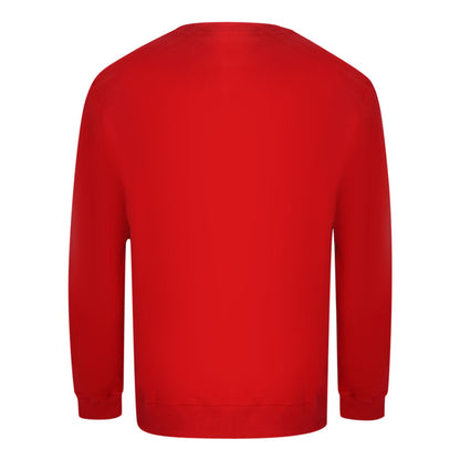 Aquascutum Mens Sweater Fgia27 52 Red