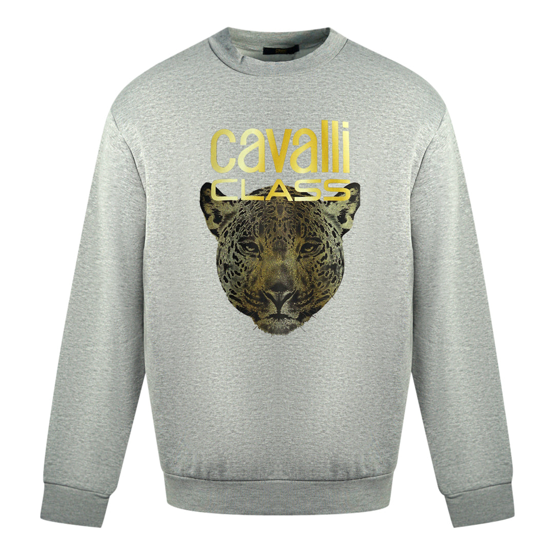 Roberto Cavalli Mens Qxt66B Cf062 Sweater Grey